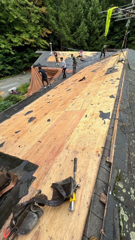 Roof Replacement: Signs Your Roof Needs Attention